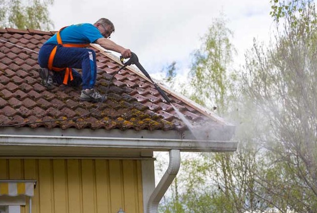 Moss Removal and Roof Cleaning: Essential Maintenance for Your Home in Vancouver, WA