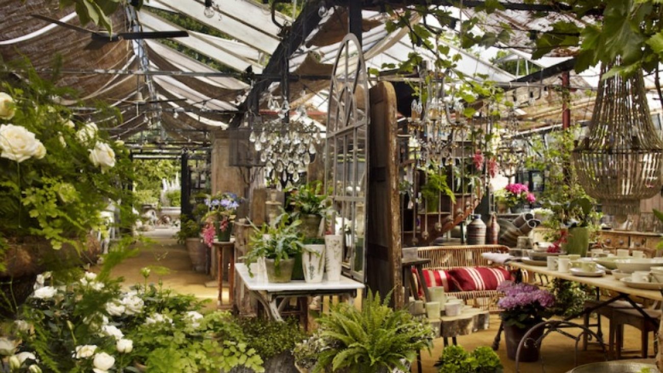 5 Best Online Nurseries for Healthy, Home-Delivered Greenery