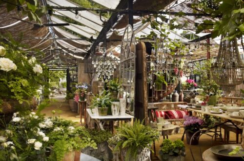 5 Best Online Nurseries for Healthy - Home-Delivered Greenery