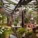 5 Best Online Nurseries for Healthy - Home-Delivered Greenery