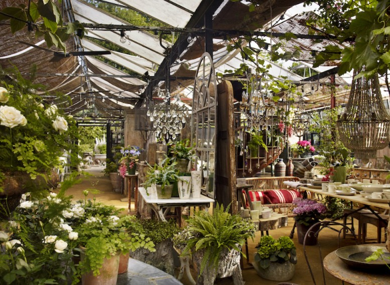 5 Best Online Nurseries for Healthy - Home-Delivered Greenery